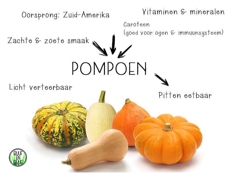 pompoen weetjes