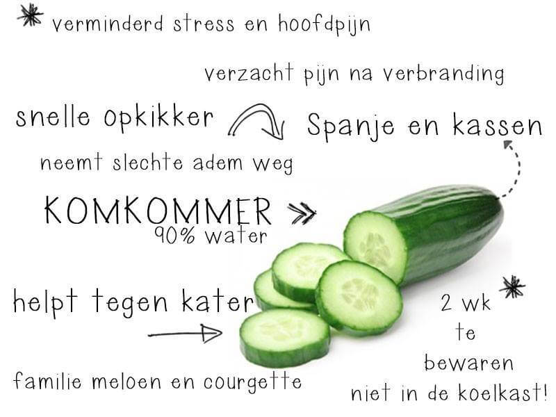 komkommer feitjes weetjes